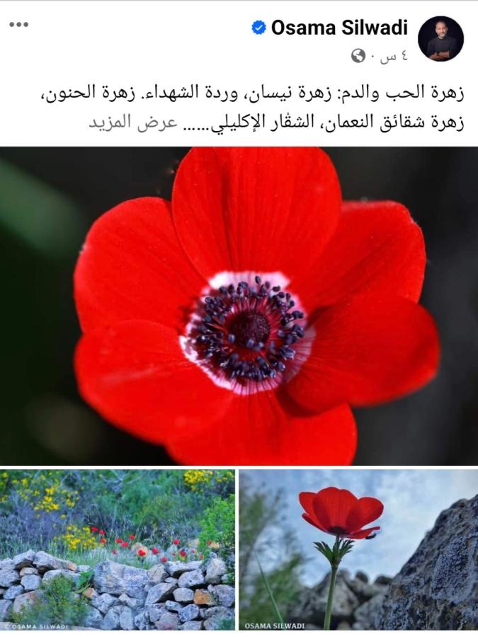 اضغط على الصورة لعرض أكبر. 

الإسم:	Screenshot_٢٠٢٤٠٣٣١-١٧٤٠٥٩_Facebook.jpg 
مشاهدات:	7 
الحجم:	72.5 كيلوبايت 
الهوية:	199520