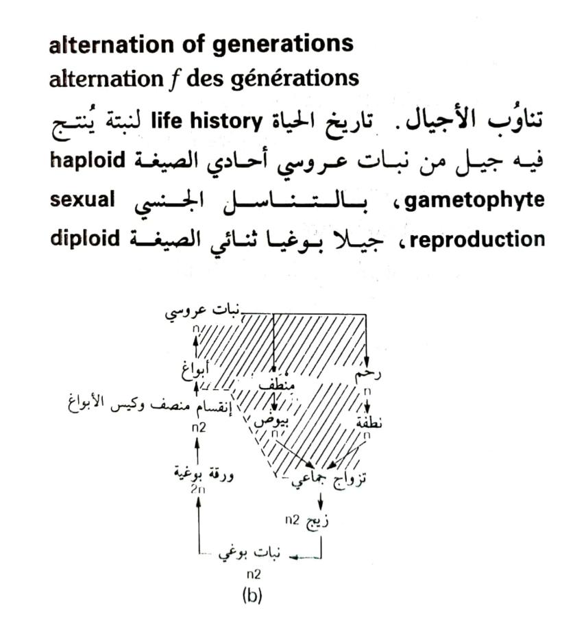 اضغط على الصورة لعرض أكبر. 

الإسم:	1716818280437.jpg 
مشاهدات:	2 
الحجم:	70.8 كيلوبايت 
الهوية:	215636