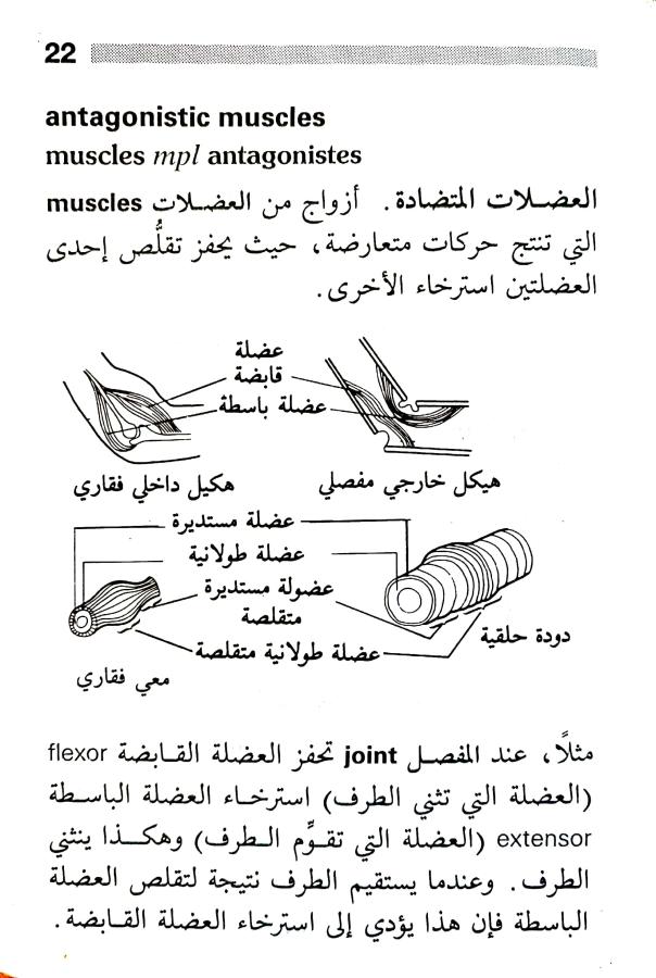 اضغط على الصورة لعرض أكبر. 

الإسم:	1716818280372.jpg 
مشاهدات:	3 
الحجم:	77.7 كيلوبايت 
الهوية:	215640