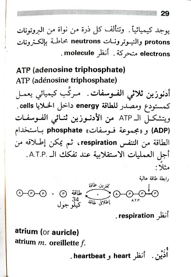 اضغط على الصورة لعرض أكبر. 

الإسم:	1716818280189.jpg 
مشاهدات:	3 
الحجم:	74.5 كيلوبايت 
الهوية:	215991