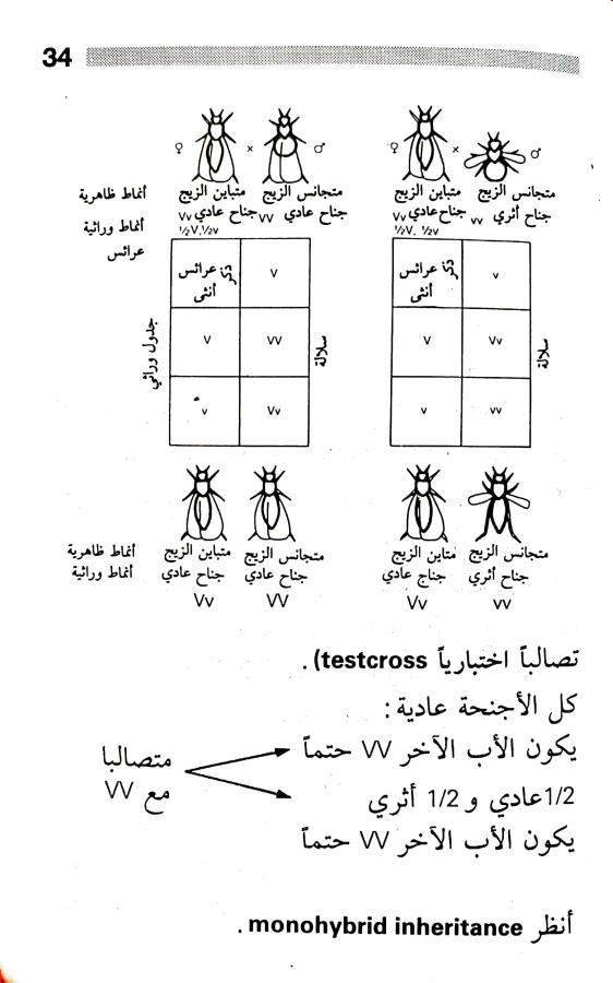 اضغط على الصورة لعرض أكبر. 

الإسم:	1716818280100.jpg 
مشاهدات:	4 
الحجم:	59.6 كيلوبايت 
الهوية:	215999