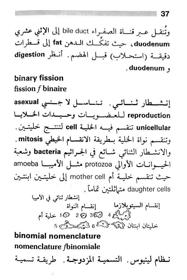 اضغط على الصورة لعرض أكبر. 

الإسم:	1716818280046.jpg 
مشاهدات:	4 
الحجم:	80.0 كيلوبايت 
الهوية:	216002