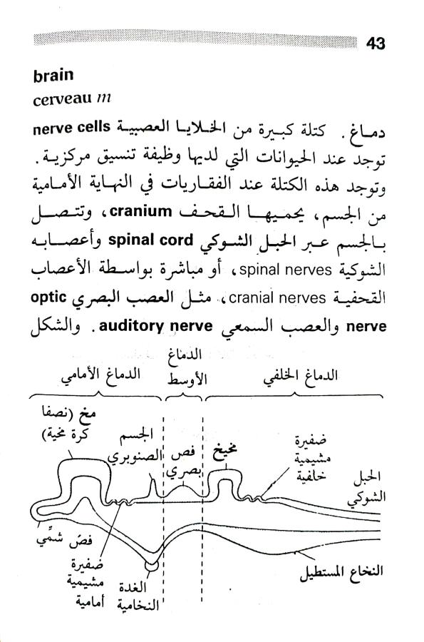 اضغط على الصورة لعرض أكبر. 

الإسم:	1716818279880.jpg 
مشاهدات:	6 
الحجم:	73.3 كيلوبايت 
الهوية:	216022