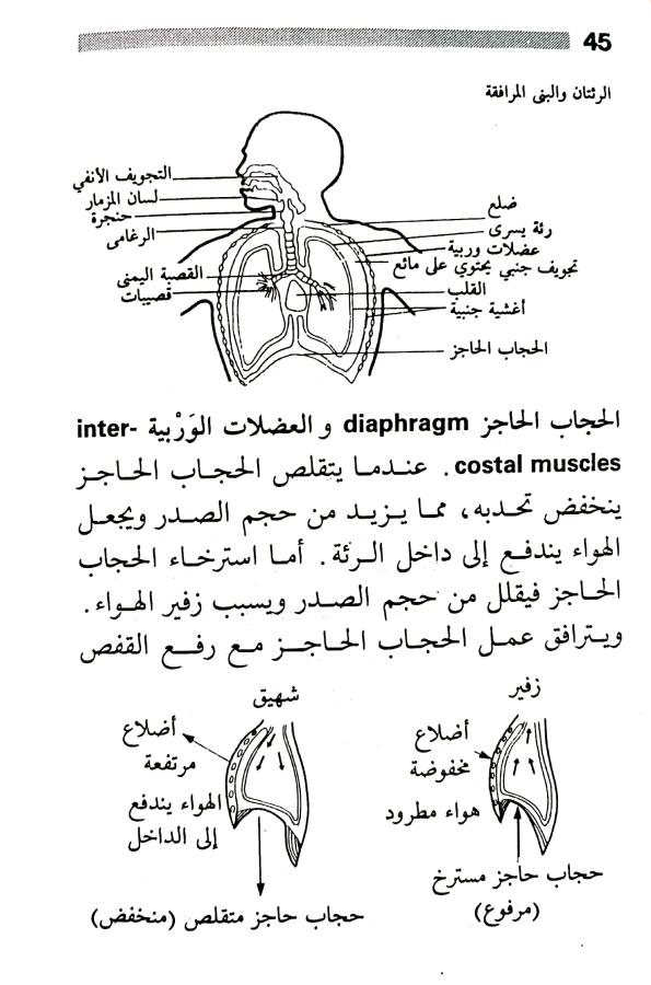 اضغط على الصورة لعرض أكبر. 

الإسم:	1716818279848.jpg 
مشاهدات:	7 
الحجم:	75.3 كيلوبايت 
الهوية:	216024