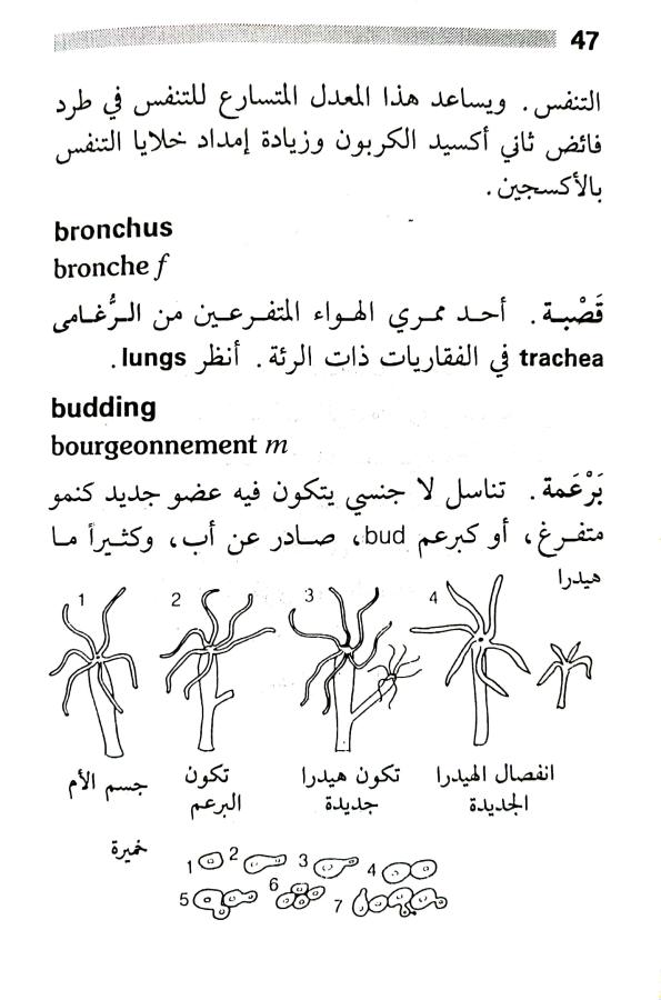 اضغط على الصورة لعرض أكبر. 

الإسم:	1716818279819.jpg 
مشاهدات:	6 
الحجم:	66.3 كيلوبايت 
الهوية:	216026