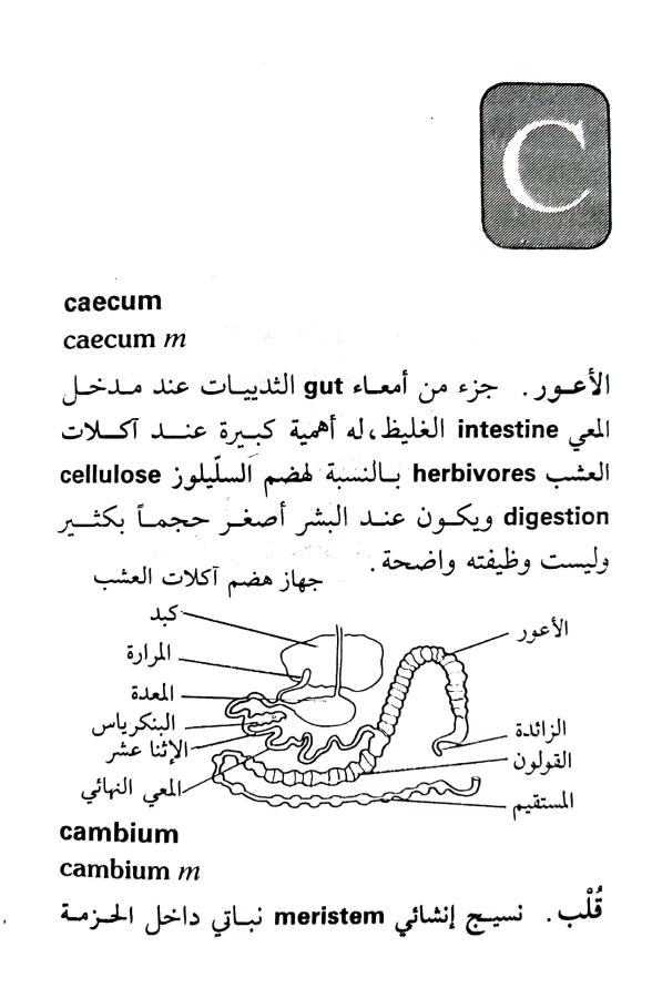 اضغط على الصورة لعرض أكبر. 

الإسم:	1716818279766.jpg 
مشاهدات:	7 
الحجم:	63.1 كيلوبايت 
الهوية:	216033