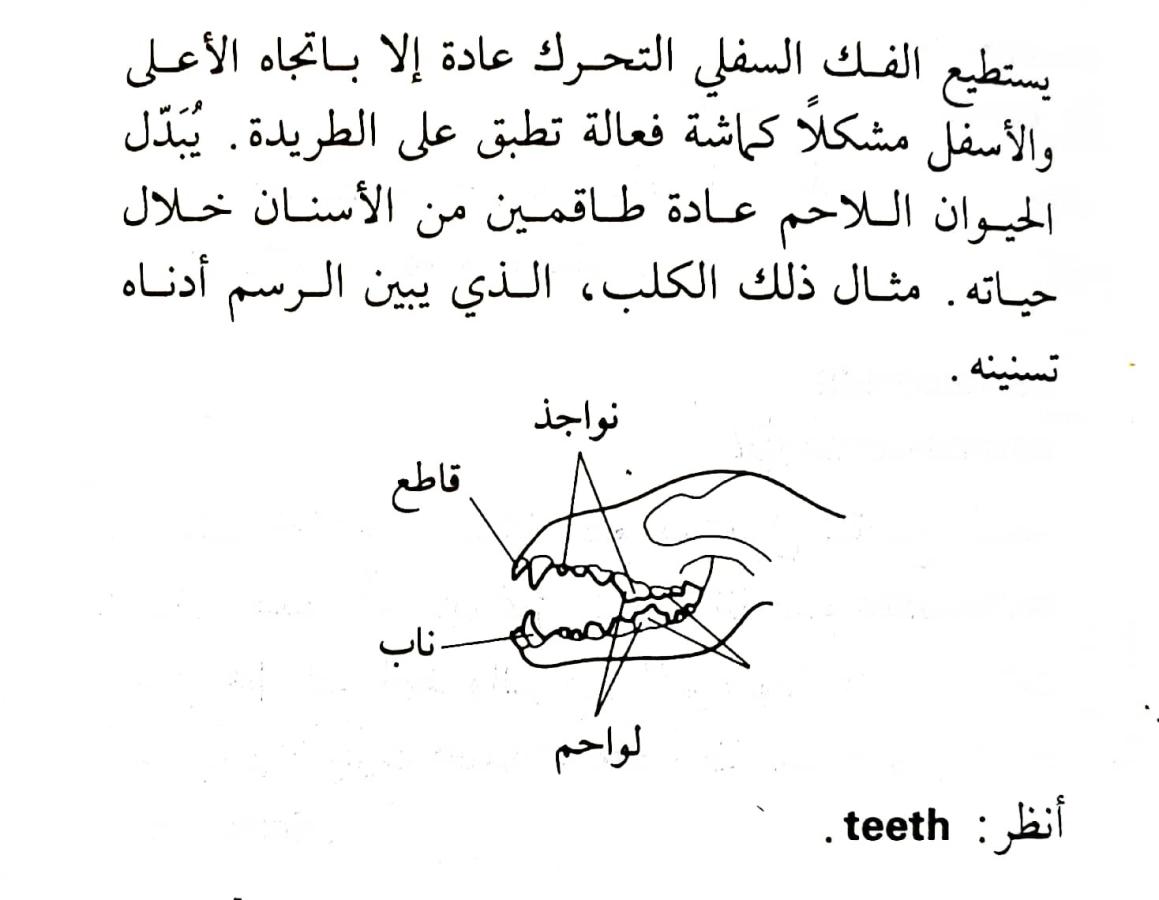 اضغط على الصورة لعرض أكبر. 

الإسم:	1716818279694.jpg 
مشاهدات:	7 
الحجم:	70.6 كيلوبايت 
الهوية:	216039