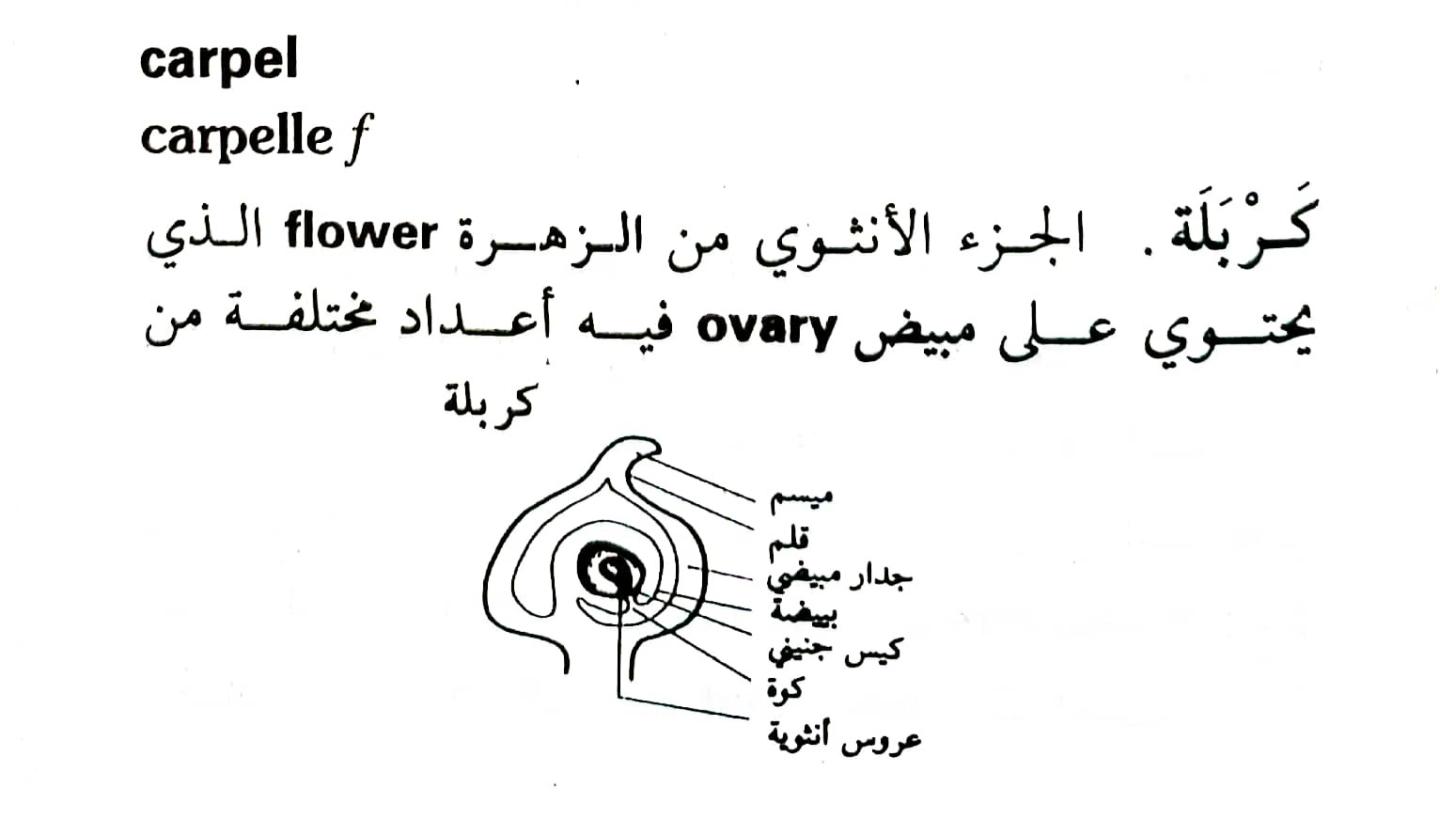 اضغط على الصورة لعرض أكبر. 

الإسم:	1716818279662.jpg 
مشاهدات:	8 
الحجم:	62.5 كيلوبايت 
الهوية:	216043