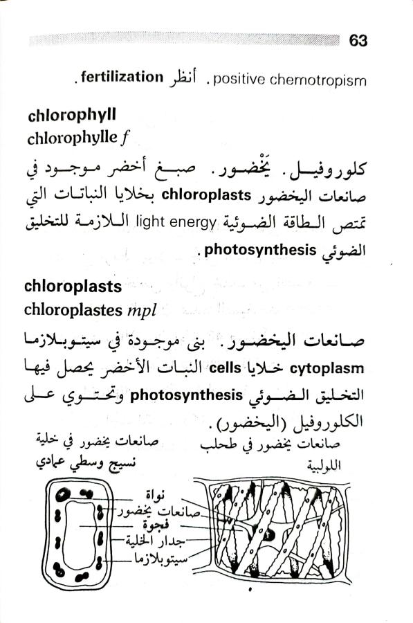 اضغط على الصورة لعرض أكبر. 

الإسم:	1716818279532.jpg 
مشاهدات:	6 
الحجم:	77.2 كيلوبايت 
الهوية:	216063