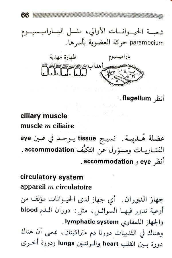 اضغط على الصورة لعرض أكبر. 

الإسم:	1716818279479.jpg 
مشاهدات:	6 
الحجم:	67.7 كيلوبايت 
الهوية:	216070