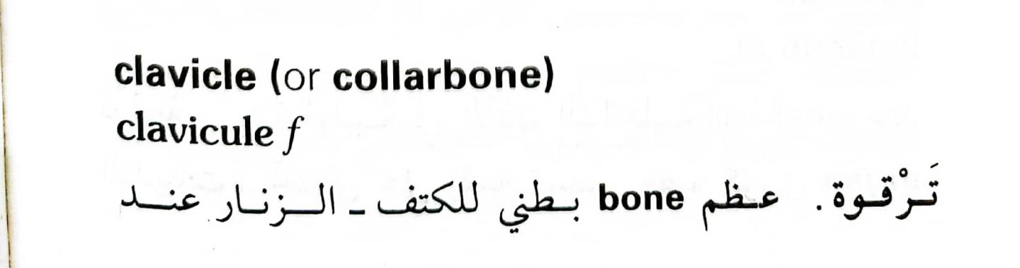 اضغط على الصورة لعرض أكبر. 

الإسم:	1716818279386.jpg 
مشاهدات:	7 
الحجم:	31.3 كيلوبايت 
الهوية:	216077