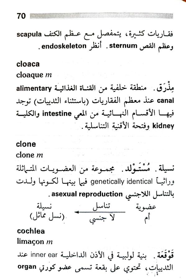 اضغط على الصورة لعرض أكبر. 

الإسم:	1716818279373.jpg 
مشاهدات:	5 
الحجم:	68.0 كيلوبايت 
الهوية:	216078