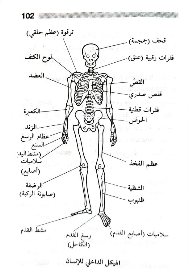 اضغط على الصورة لعرض أكبر.   الإسم:	1716818744012.jpg  مشاهدات:	0  الحجم:	61.9 كيلوبايت  الهوية:	216126