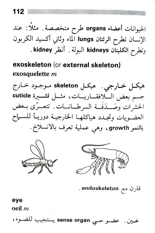 اضغط على الصورة لعرض أكبر. 

الإسم:	1716818743789.jpg 
مشاهدات:	5 
الحجم:	67.3 كيلوبايت 
الهوية:	216837