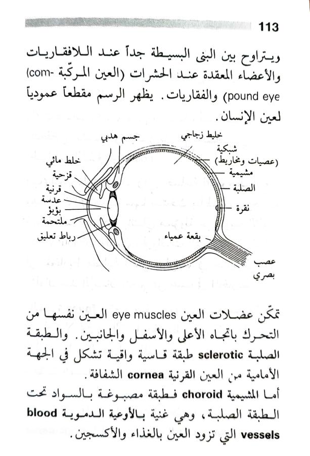 اضغط على الصورة لعرض أكبر. 

الإسم:	1716818743766.jpg 
مشاهدات:	5 
الحجم:	73.6 كيلوبايت 
الهوية:	216838