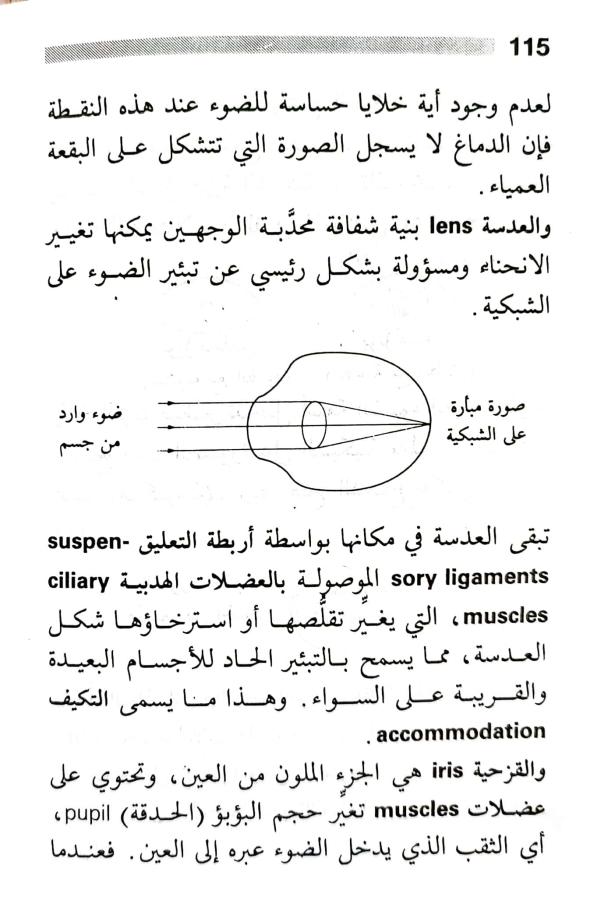 اضغط على الصورة لعرض أكبر. 

الإسم:	1716818743731.jpg 
مشاهدات:	5 
الحجم:	71.3 كيلوبايت 
الهوية:	216843