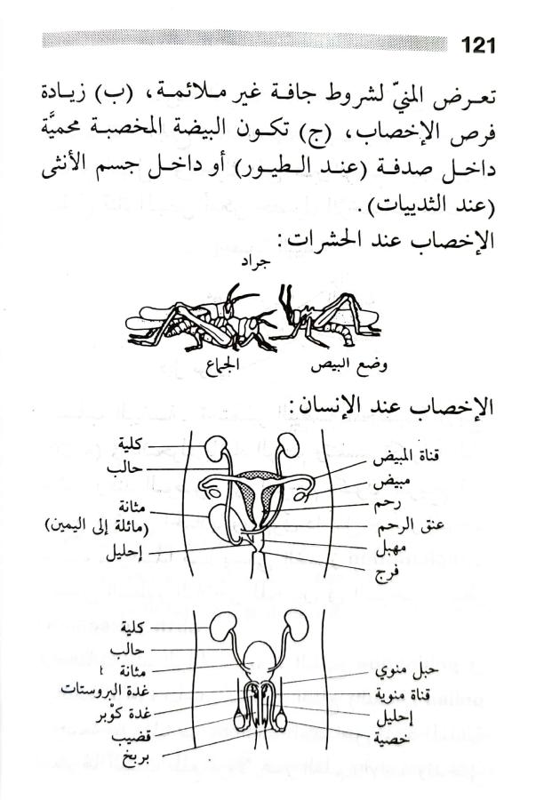 اضغط على الصورة لعرض أكبر. 

الإسم:	1716818743592.jpg 
مشاهدات:	5 
الحجم:	65.4 كيلوبايت 
الهوية:	216850