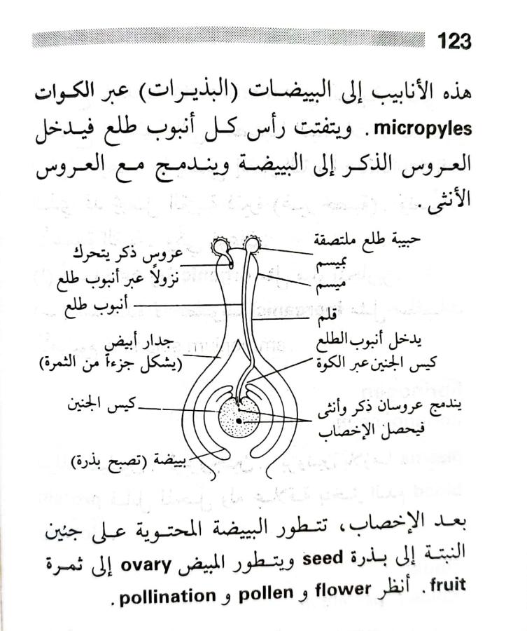 اضغط على الصورة لعرض أكبر. 

الإسم:	1716818743559.jpg 
مشاهدات:	5 
الحجم:	82.0 كيلوبايت 
الهوية:	216853