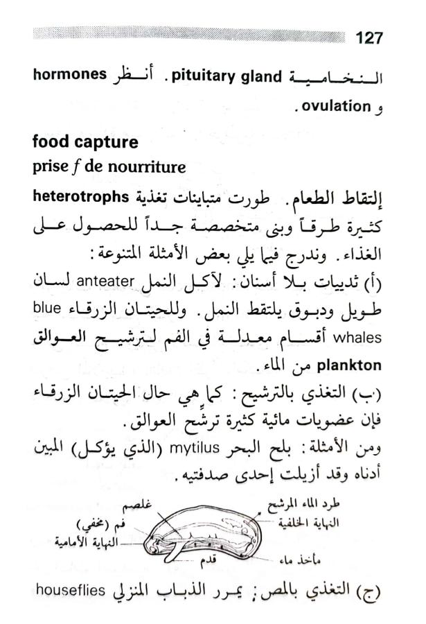 اضغط على الصورة لعرض أكبر. 

الإسم:	1716818743459.jpg 
مشاهدات:	5 
الحجم:	73.4 كيلوبايت 
الهوية:	216861