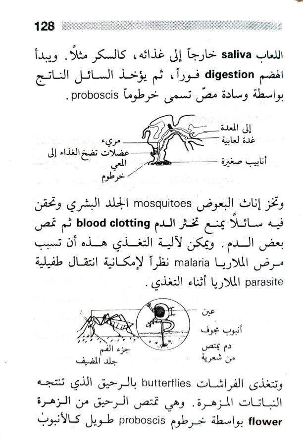 اضغط على الصورة لعرض أكبر. 

الإسم:	1716818743443.jpg 
مشاهدات:	5 
الحجم:	74.6 كيلوبايت 
الهوية:	216863