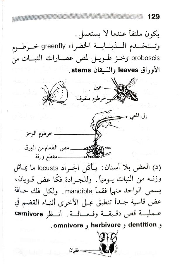 اضغط على الصورة لعرض أكبر. 

الإسم:	1716818743430.jpg 
مشاهدات:	5 
الحجم:	69.4 كيلوبايت 
الهوية:	216864