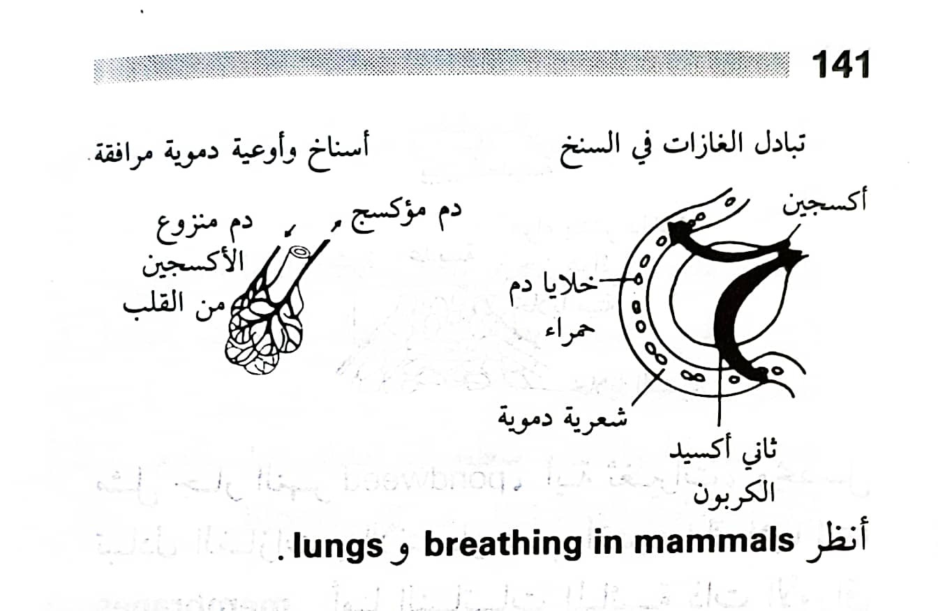 اضغط على الصورة لعرض أكبر. 

الإسم:	1716818743199.jpg 
مشاهدات:	3 
الحجم:	123.2 كيلوبايت 
الهوية:	217209