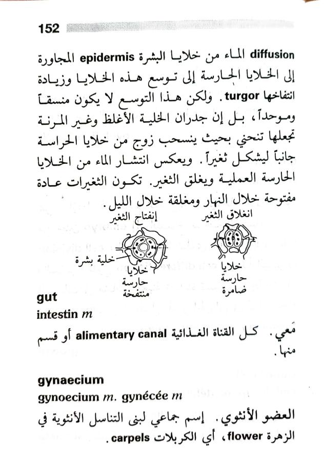 اضغط على الصورة لعرض أكبر. 

الإسم:	1716818742953.jpg 
مشاهدات:	4 
الحجم:	71.3 كيلوبايت 
الهوية:	217238