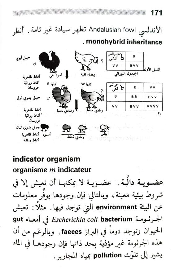 اضغط على الصورة لعرض أكبر. 

الإسم:	1716818742530.jpg 
مشاهدات:	3 
الحجم:	75.7 كيلوبايت 
الهوية:	217471