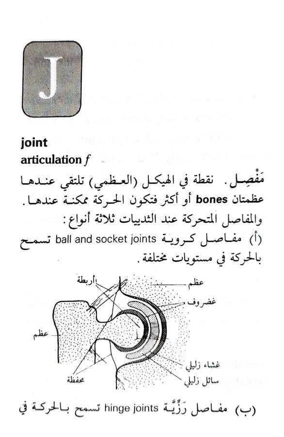 اضغط على الصورة لعرض أكبر. 

الإسم:	1716818742396.jpg 
مشاهدات:	2 
الحجم:	63.7 كيلوبايت 
الهوية:	217483