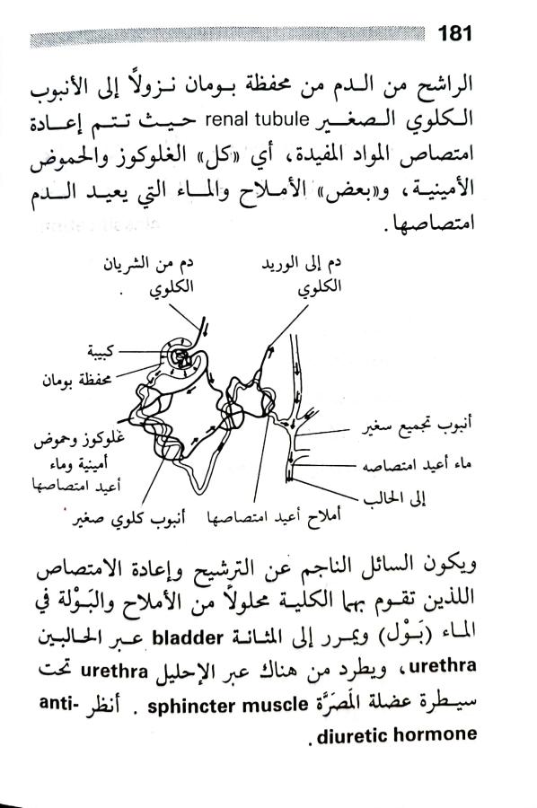 اضغط على الصورة لعرض أكبر. 

الإسم:	1716818742299.jpg 
مشاهدات:	3 
الحجم:	74.2 كيلوبايت 
الهوية:	217492