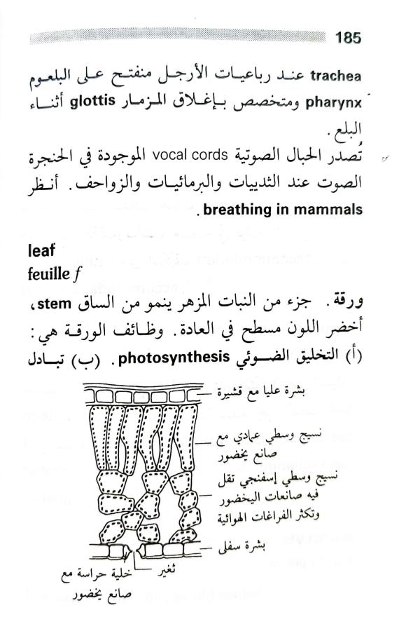 اضغط على الصورة لعرض أكبر. 

الإسم:	1716818742242.jpg 
مشاهدات:	4 
الحجم:	66.5 كيلوبايت 
الهوية:	217505