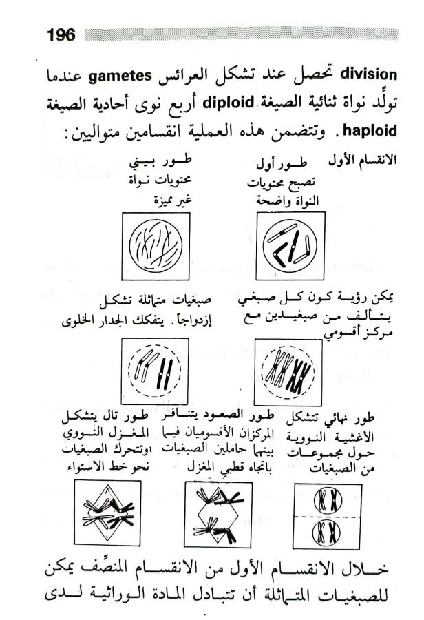 اضغط على الصورة لعرض أكبر. 

الإسم:	1716818742022.jpg 
مشاهدات:	4 
الحجم:	79.9 كيلوبايت 
الهوية:	217966