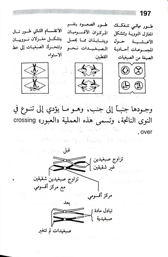 اضغط على الصورة لعرض أكبر. 

الإسم:	1716818742005.jpg 
مشاهدات:	4 
الحجم:	61.2 كيلوبايت 
الهوية:	217967