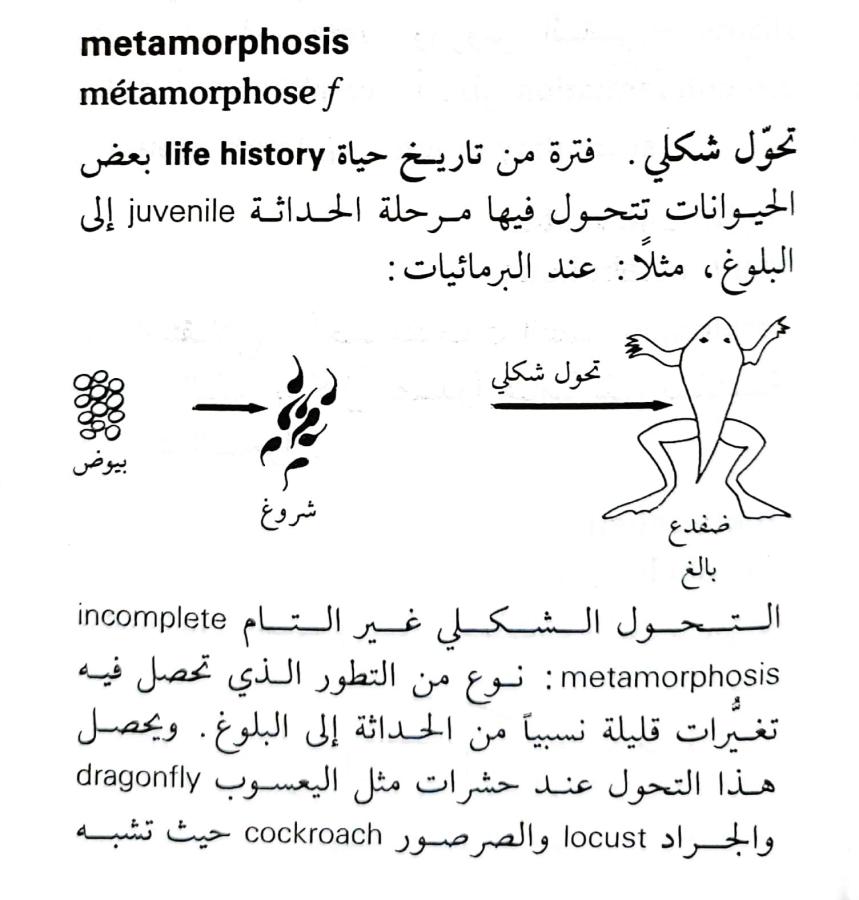 اضغط على الصورة لعرض أكبر.   الإسم:	1716818741941.jpg  مشاهدات:	0  الحجم:	74.6 كيلوبايت  الهوية:	217973