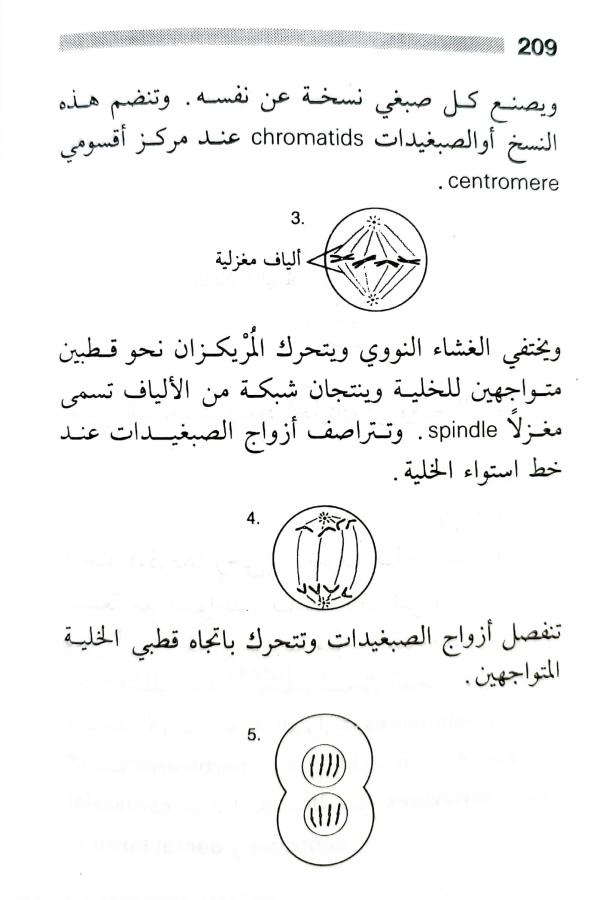 اضغط على الصورة لعرض أكبر. 

الإسم:	1716818741808.jpg 
مشاهدات:	6 
الحجم:	52.2 كيلوبايت 
الهوية:	217984