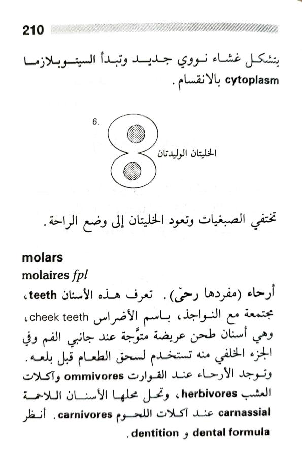 اضغط على الصورة لعرض أكبر. 

الإسم:	1716818741794.jpg 
مشاهدات:	5 
الحجم:	55.8 كيلوبايت 
الهوية:	217985