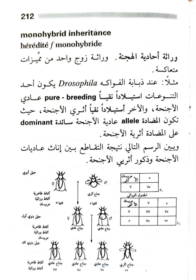 اضغط على الصورة لعرض أكبر. 

الإسم:	1716818741737.jpg 
مشاهدات:	5 
الحجم:	70.7 كيلوبايت 
الهوية:	217987