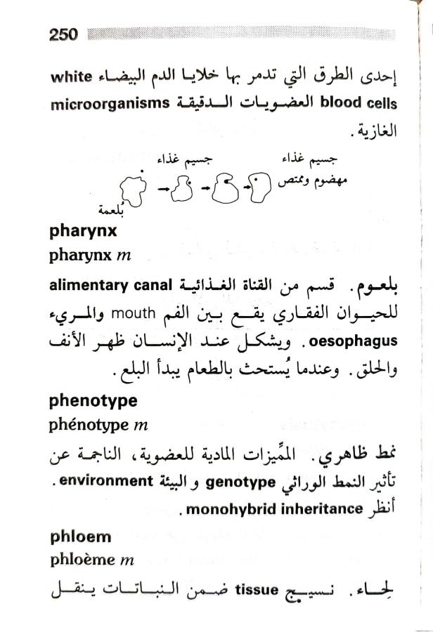 اضغط على الصورة لعرض أكبر. 

الإسم:	1716819184959.jpg 
مشاهدات:	2 
الحجم:	63.7 كيلوبايت 
الهوية:	218266