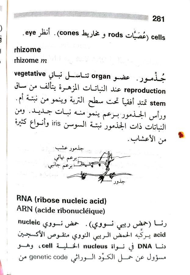 اضغط على الصورة لعرض أكبر. 

الإسم:	1716819184373.jpg 
مشاهدات:	2 
الحجم:	69.4 كيلوبايت 
الهوية:	218447