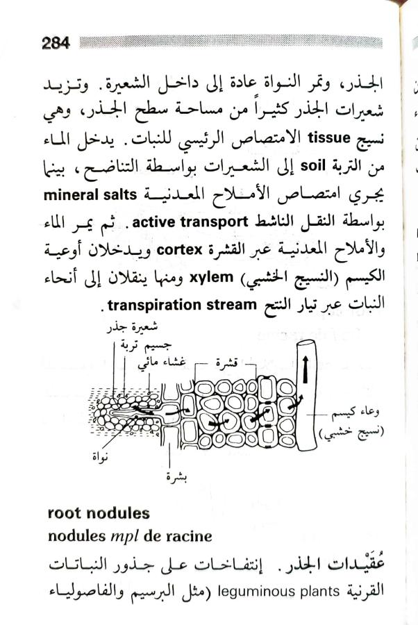 اضغط على الصورة لعرض أكبر. 

الإسم:	1716819184279.jpg 
مشاهدات:	4 
الحجم:	79.1 كيلوبايت 
الهوية:	218453