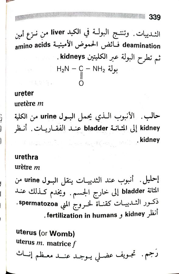 اضغط على الصورة لعرض أكبر. 

الإسم:	1716819547354.jpg 
مشاهدات:	4 
الحجم:	62.2 كيلوبايت 
الهوية:	218910