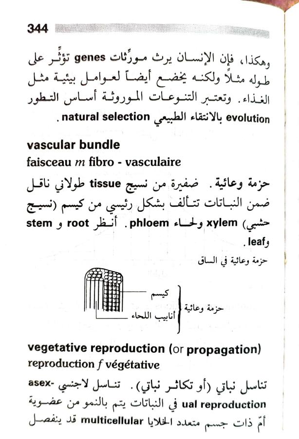 اضغط على الصورة لعرض أكبر.   الإسم:	1716819547243.jpg  مشاهدات:	1  الحجم:	72.8 كيلوبايت  الهوية:	218921