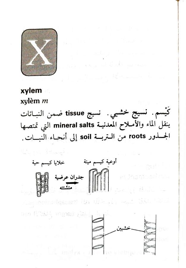 اضغط على الصورة لعرض أكبر. 

الإسم:	1716819547020.jpg 
مشاهدات:	2 
الحجم:	48.0 كيلوبايت 
الهوية:	219374