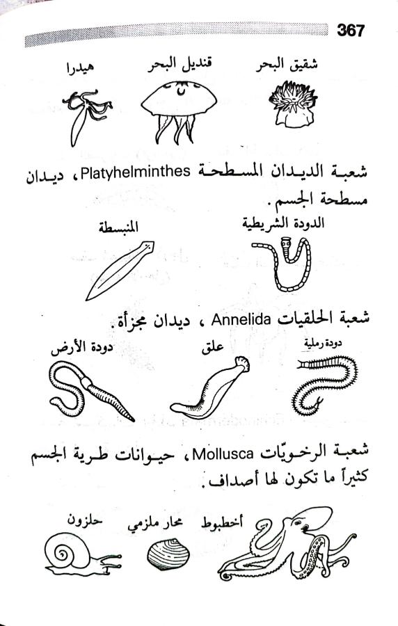 اضغط على الصورة لعرض أكبر. 

الإسم:	1716819546705.jpg 
مشاهدات:	2 
الحجم:	62.8 كيلوبايت 
الهوية:	219403