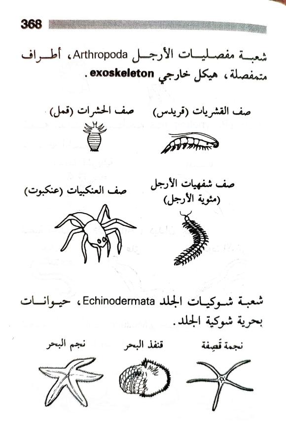 اضغط على الصورة لعرض أكبر. 

الإسم:	1716819546688.jpg 
مشاهدات:	2 
الحجم:	55.2 كيلوبايت 
الهوية:	219404