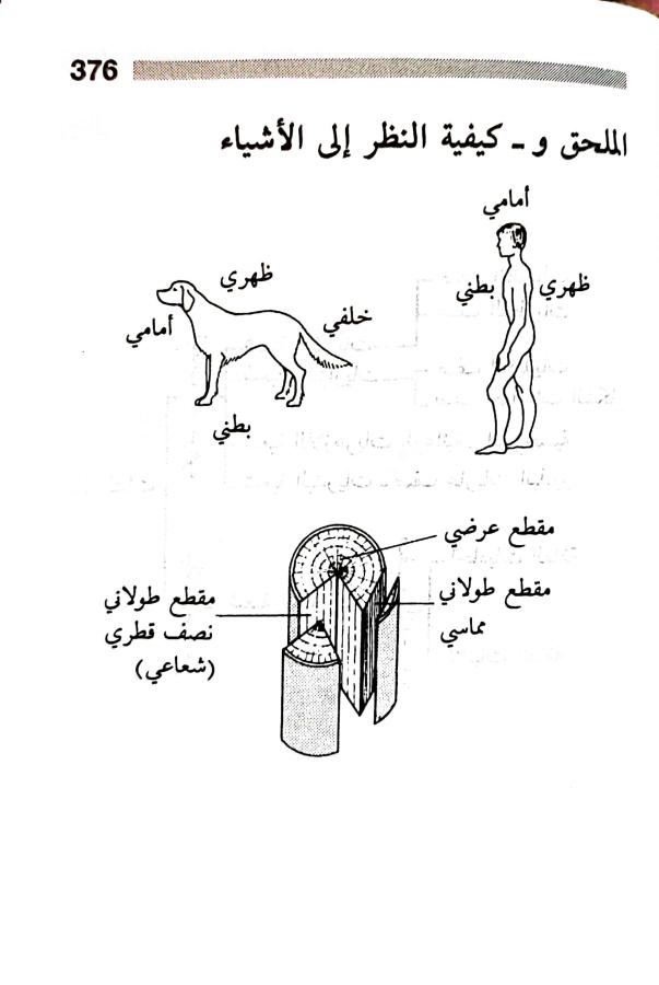 اضغط على الصورة لعرض أكبر.   الإسم:	1716819546510.jpg  مشاهدات:	0  الحجم:	43.8 كيلوبايت  الهوية:	219525