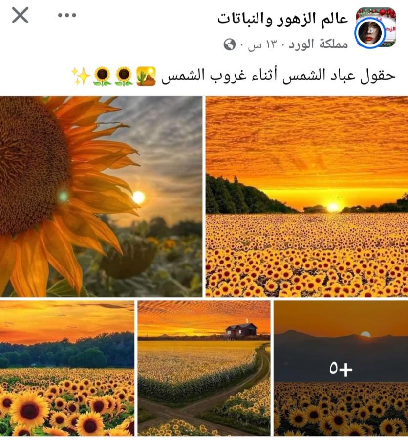 اضغط على الصورة لعرض أكبر. 

الإسم:	Screenshot_٢٠٢٤٠٦٢٣-٢٢٣٣١٨_Facebook.jpg 
مشاهدات:	9 
الحجم:	122.5 كيلوبايت 
الهوية:	221116