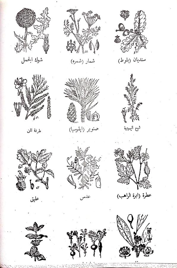 اضغط على الصورة لعرض أكبر. 

الإسم:	مستند جديد 05-08-2024 14.54_1.jpg 
مشاهدات:	5 
الحجم:	98.1 كيلوبايت 
الهوية:	229088