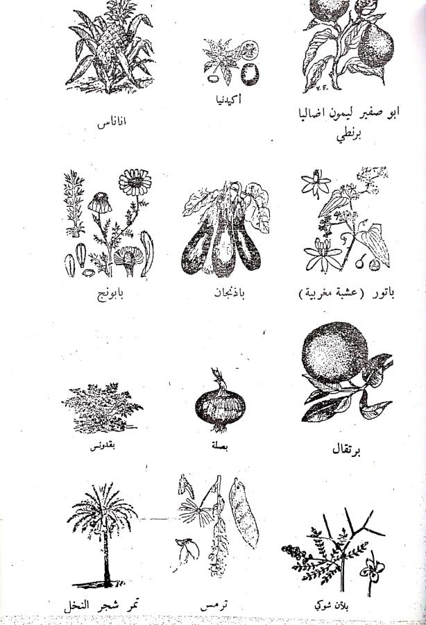 اضغط على الصورة لعرض أكبر. 

الإسم:	مستند جديد 05-08-2024 14.55 (1)_1.jpg 
مشاهدات:	5 
الحجم:	90.0 كيلوبايت 
الهوية:	229091