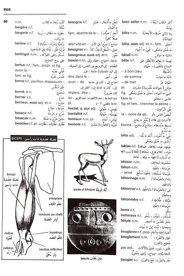 اضغط على الصورة لعرض أكبر. 

الإسم:	مستند جديد 03-09-2024 12.07_1.jpg 
مشاهدات:	3 
الحجم:	112.7 كيلوبايت 
الهوية:	233698